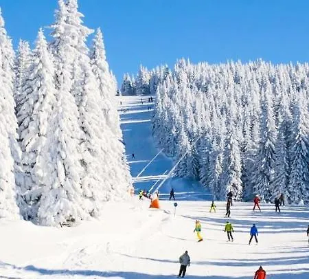 K19 Milmari & Lejlighed Kopaonik