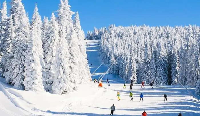 K19 Milmari & Apartment Kopaonik