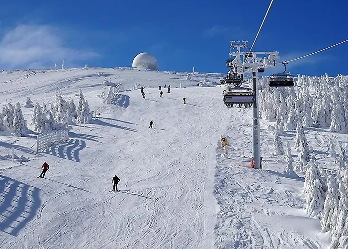 K19 Milmari & Apartment